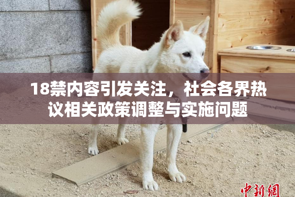 18禁内容引发关注，社会各界热议相关政策调整与实施问题