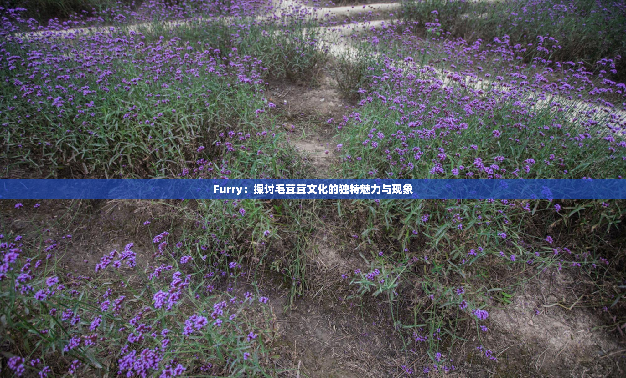 Furry：探讨毛茸茸文化的独特魅力与现象