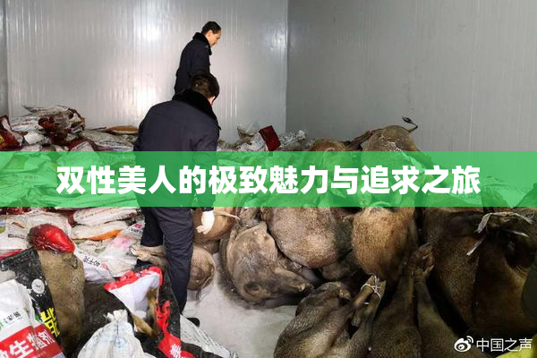 双性美人的极致魅力与追求之旅