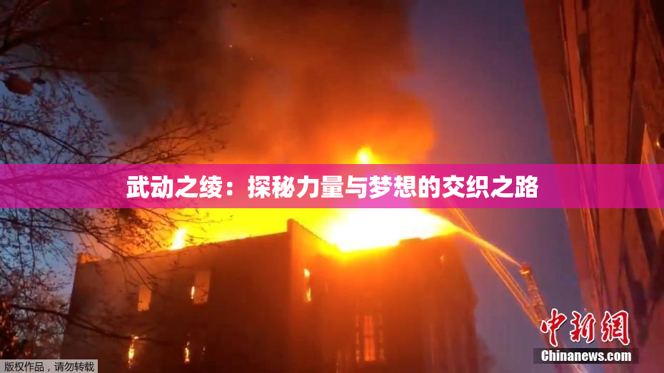 武动之绫：探秘力量与梦想的交织之路