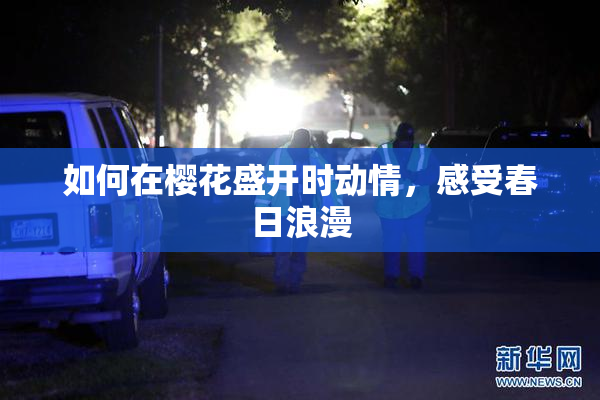 如何在樱花盛开时动情，感受春日浪漫