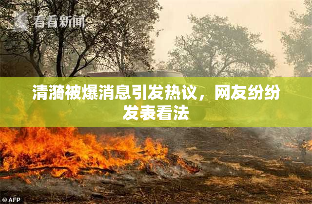 清漪被爆消息引发热议，网友纷纷发表看法