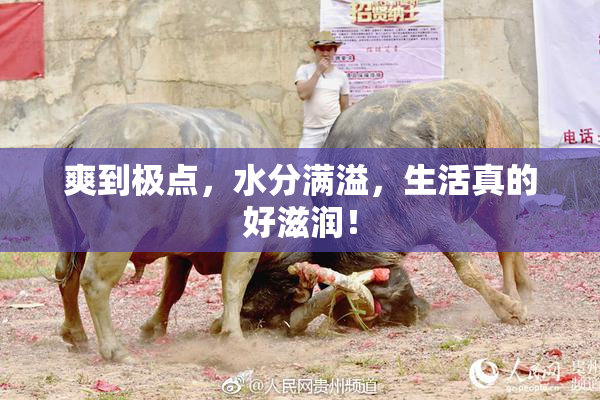爽到极点，水分满溢，生活真的好滋润！
