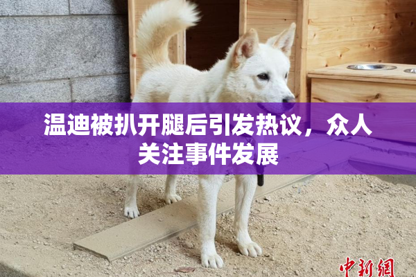 温迪被扒开腿后引发热议，众人关注事件发展