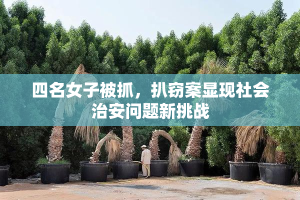 四名女子被抓，扒窃案显现社会治安问题新挑战