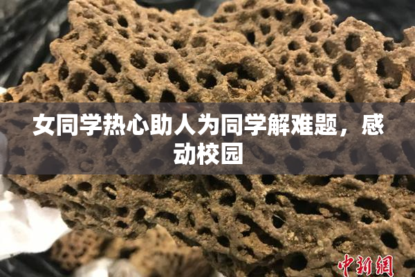 女同学热心助人为同学解难题，感动校园
