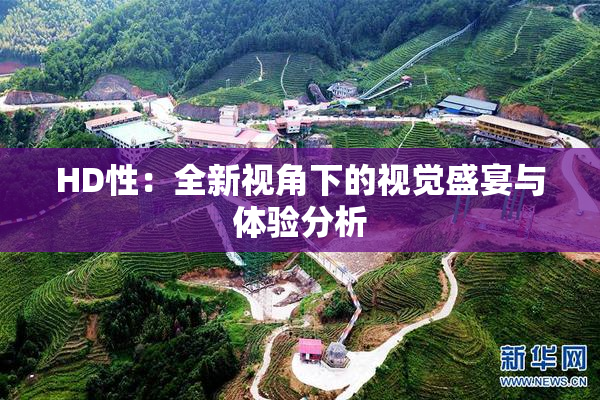 HD性：全新视角下的视觉盛宴与体验分析