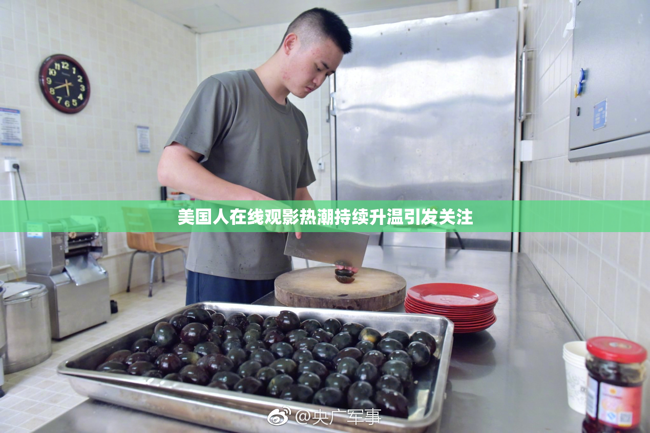 美国人在线观影热潮持续升温引发关注