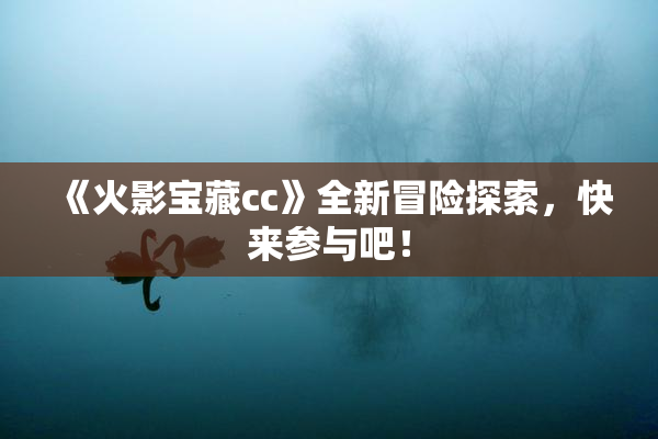 《火影宝藏cc》全新冒险探索，快来参与吧！