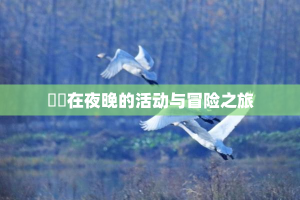 妺妺在夜晚的活动与冒险之旅