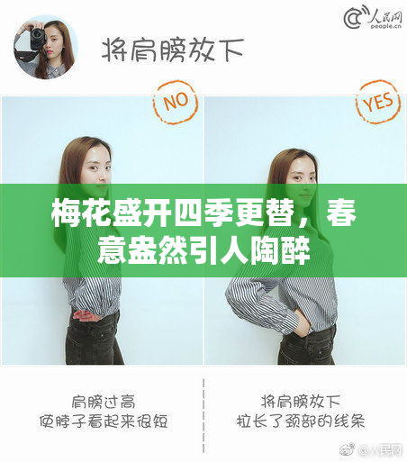 梅花盛开四季更替，春意盎然引人陶醉