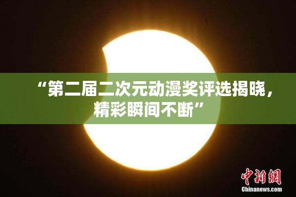 “第二届二次元动漫奖评选揭晓，精彩瞬间不断”