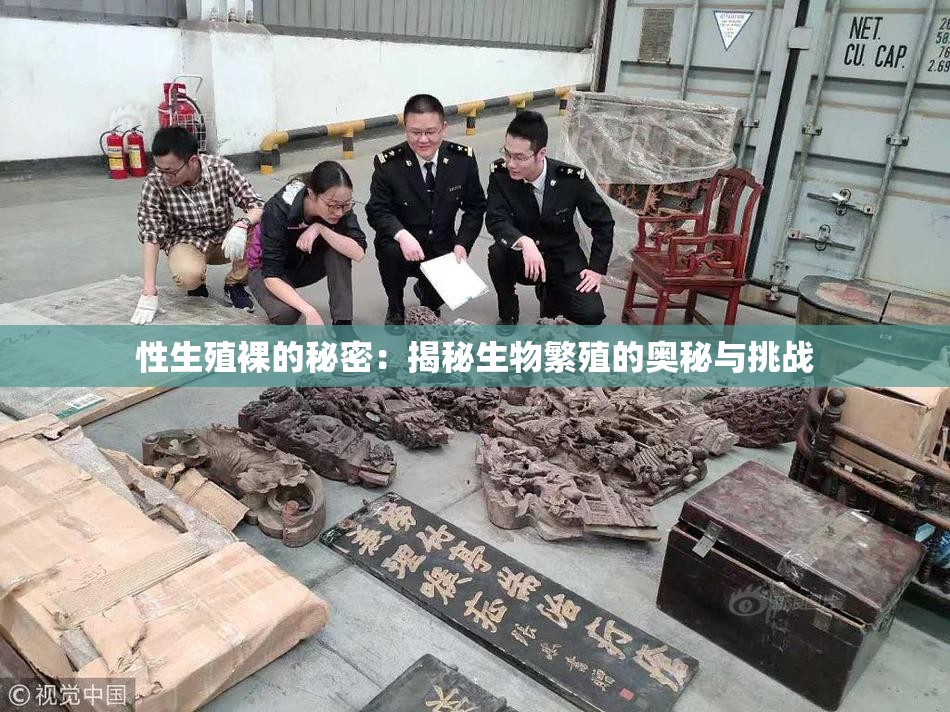性生殖裸的秘密：揭秘生物繁殖的奥秘与挑战