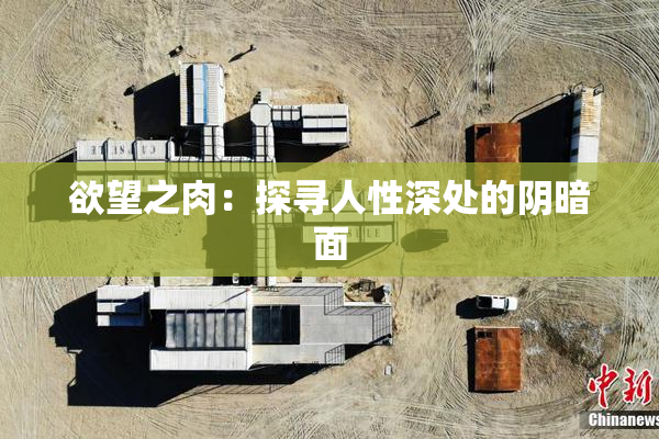 欲望之肉：探寻人性深处的阴暗面