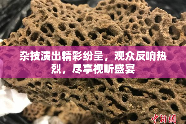 杂技演出精彩纷呈，观众反响热烈，尽享视听盛宴