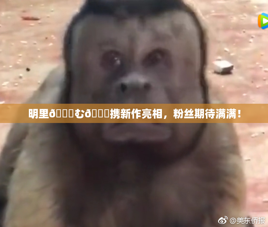 明里😚む🍍携新作亮相，粉丝期待满满！