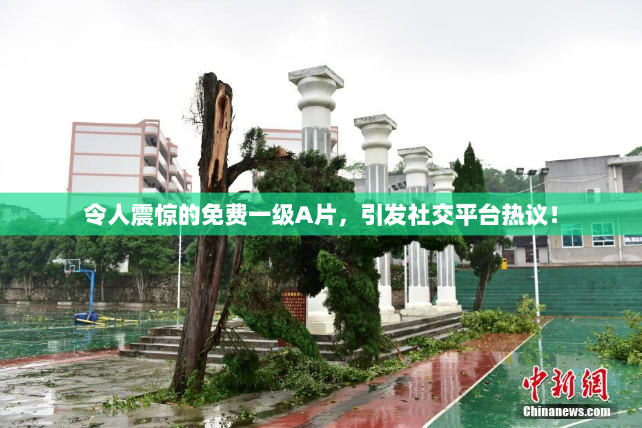 令人震惊的免费一级A片，引发社交平台热议！