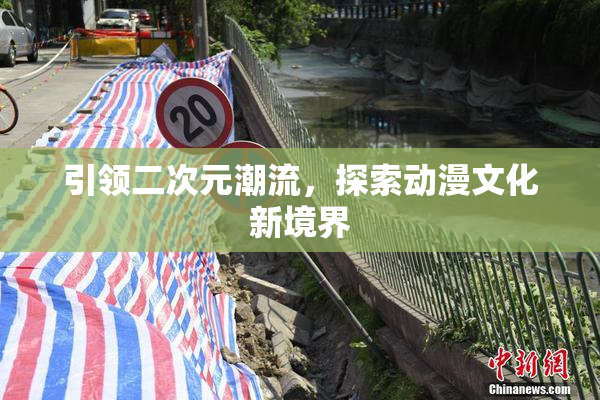引领二次元潮流，探索动漫文化新境界
