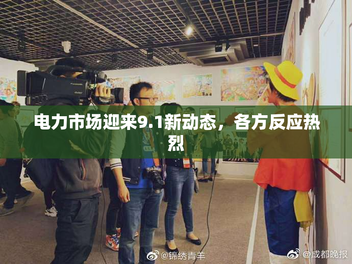 电力市场迎来9.1新动态，各方反应热烈