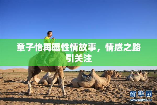 章子怡再曝性情故事，情感之路引关注