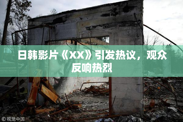 日韩影片《XX》引发热议，观众反响热烈