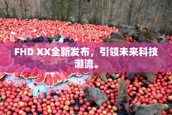 FHD XX全新发布，引领未来科技潮流。