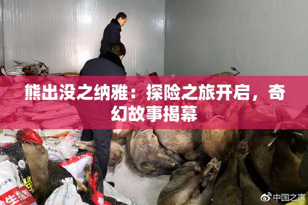 熊出没之纳雅：探险之旅开启，奇幻故事揭幕