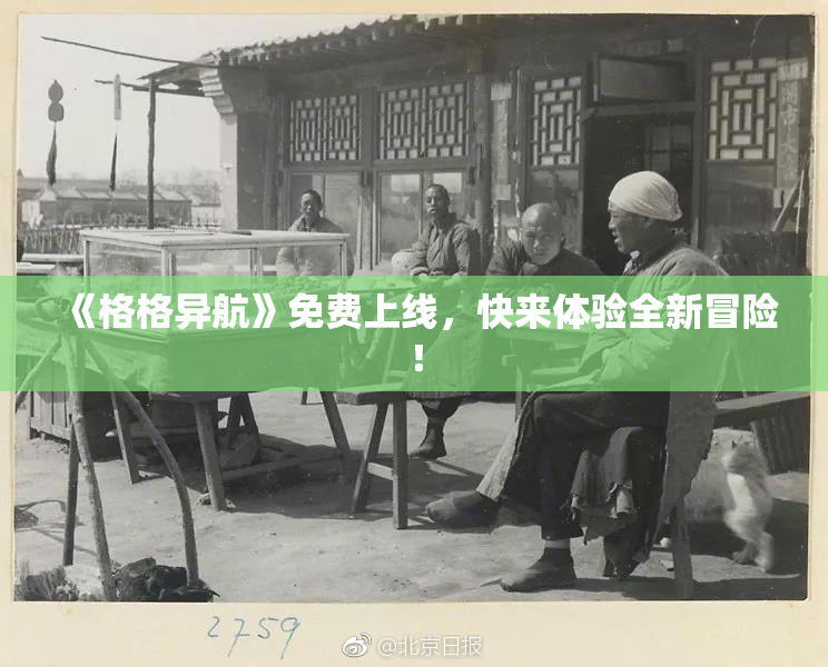 《格格异航》免费上线，快来体验全新冒险！
