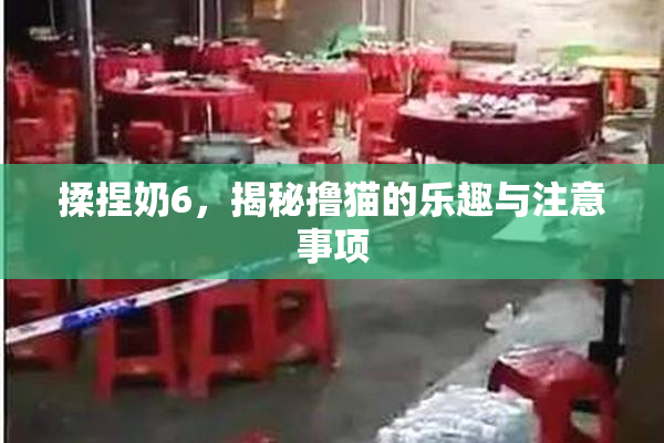 揉捏奶6，揭秘撸猫的乐趣与注意事项
