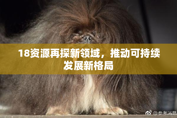 18资源再探新领域，推动可持续发展新格局