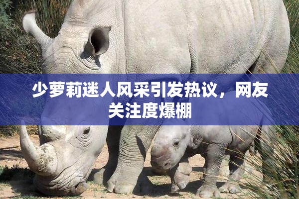 少萝莉迷人风采引发热议，网友关注度爆棚