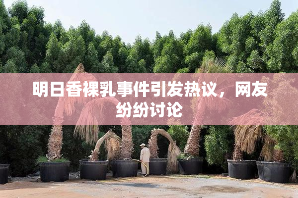 明日香裸乳事件引发热议，网友纷纷讨论