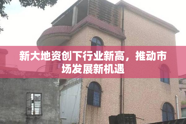 新大地资创下行业新高，推动市场发展新机遇