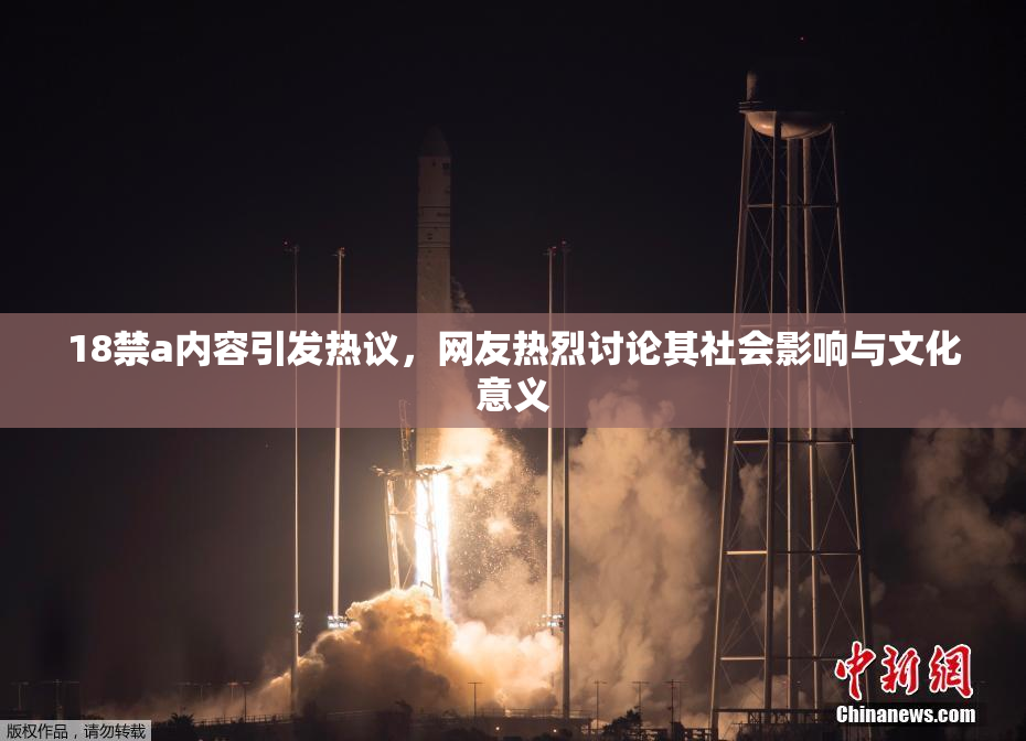 18禁a内容引发热议，网友热烈讨论其社会影响与文化意义