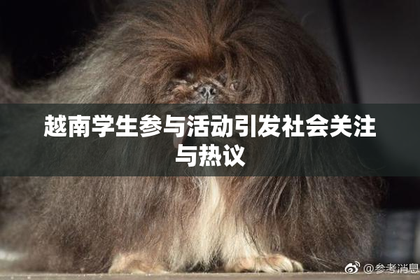 越南学生参与活动引发社会关注与热议