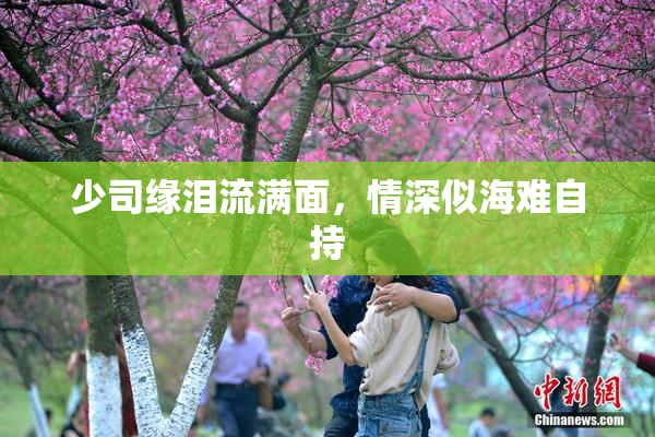 少司缘泪流满面，情深似海难自持