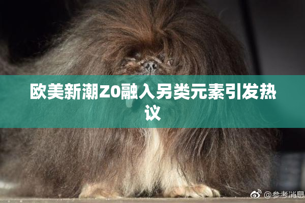 欧美新潮Z0融入另类元素引发热议