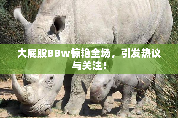 大屁股BBw惊艳全场，引发热议与关注！