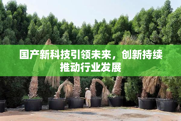 国产新科技引领未来，创新持续推动行业发展