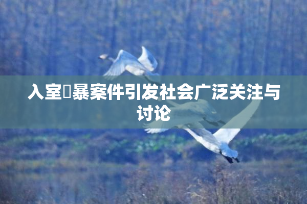 入室強暴案件引发社会广泛关注与讨论