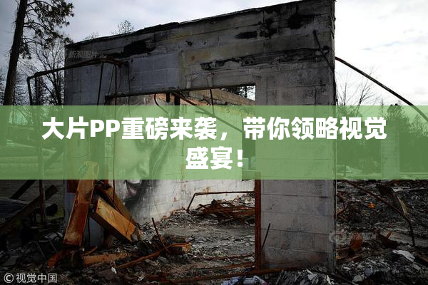 大片PP重磅来袭，带你领略视觉盛宴！