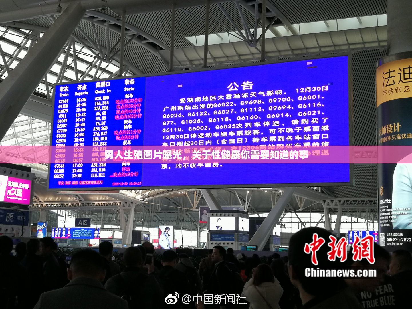 男人生殖图片曝光，关于性健康你需要知道的事