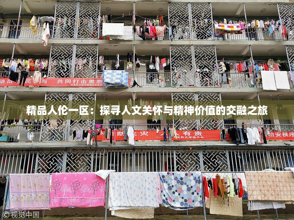 精品人伦一区：探寻人文关怀与精神价值的交融之旅