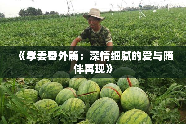 《孝妻番外篇：深情细腻的爱与陪伴再现》