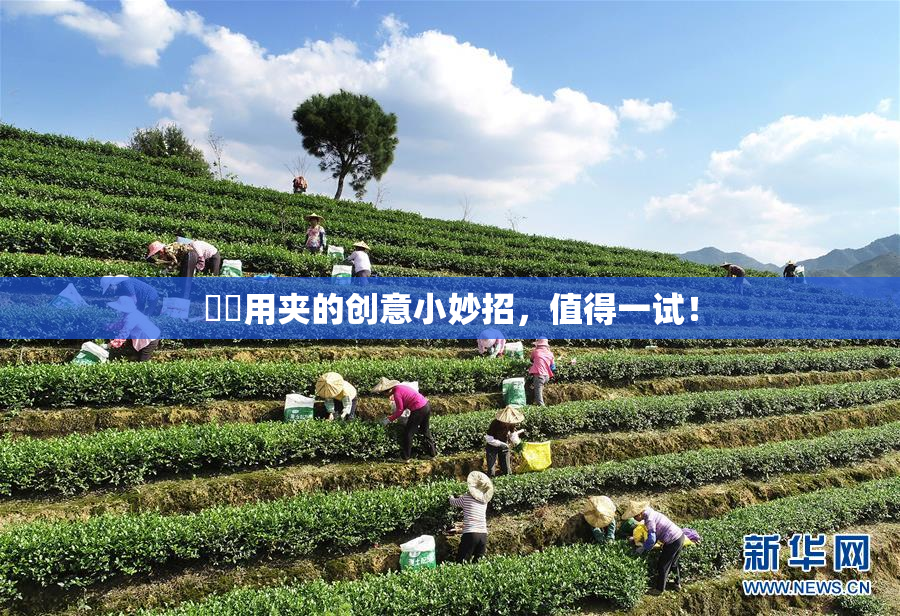 妺妺用夹的创意小妙招，值得一试！