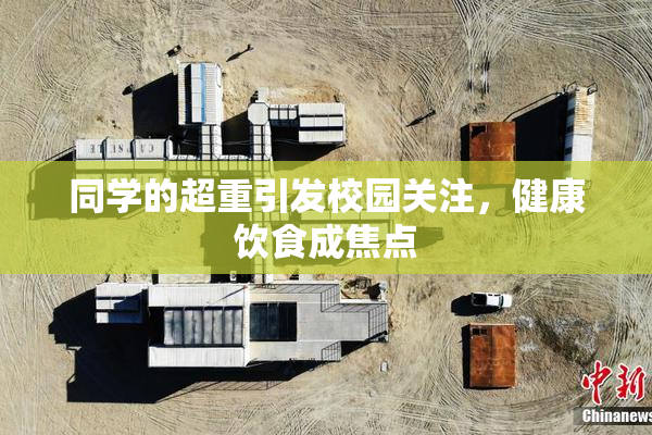 同学的超重引发校园关注，健康饮食成焦点