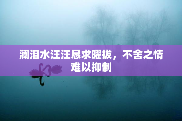 澜泪水汪汪恳求曜拔，不舍之情难以抑制