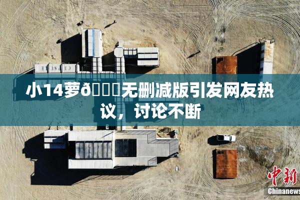 小14萝🔞无删减版引发网友热议，讨论不断