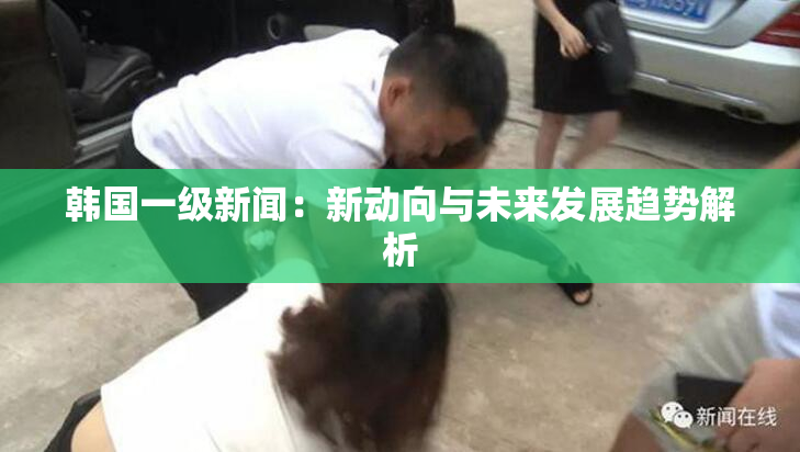 韩国一级新闻：新动向与未来发展趋势解析