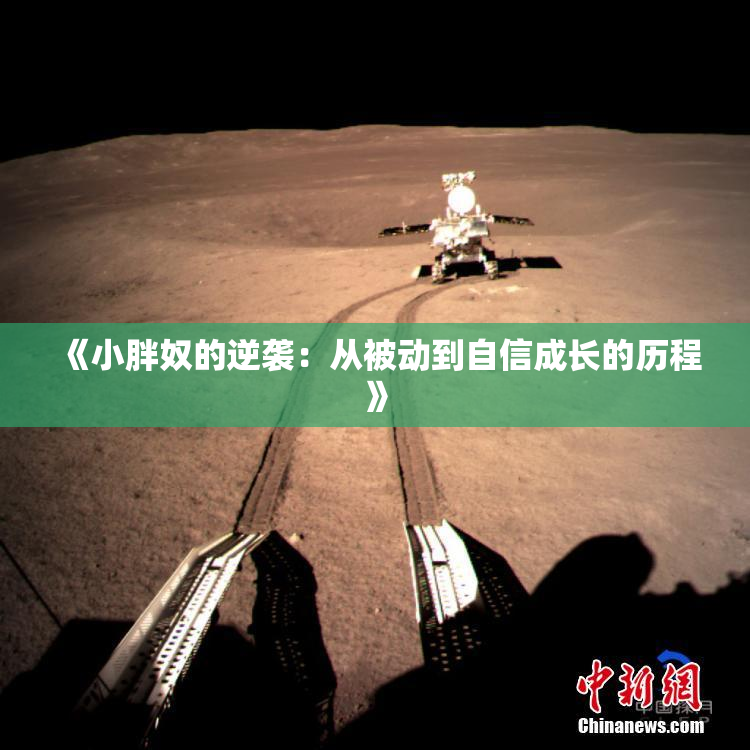 《小胖奴的逆袭：从被动到自信成长的历程》